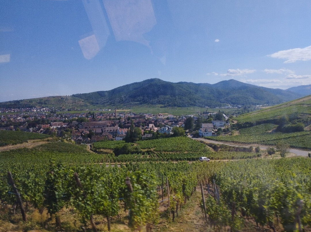 Route des Vins d'Alsace-科尔马必去景点