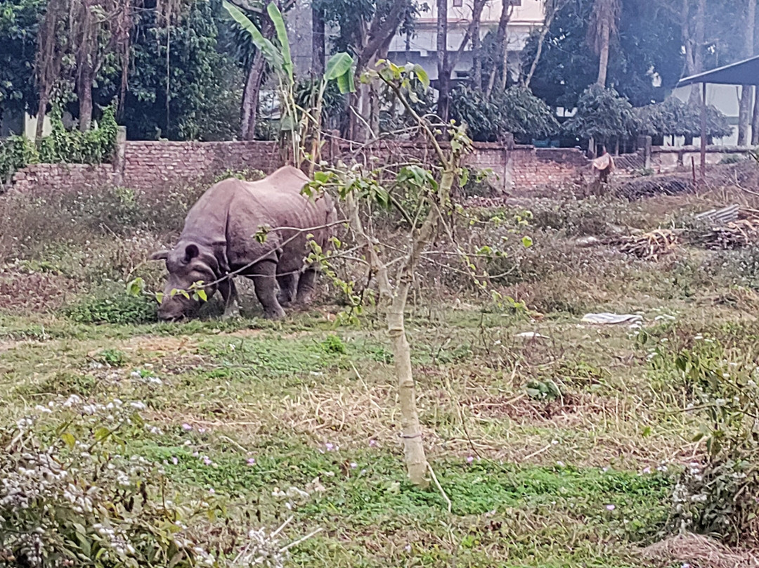 Chitwan Tharu Village-苏拉哈必去景点