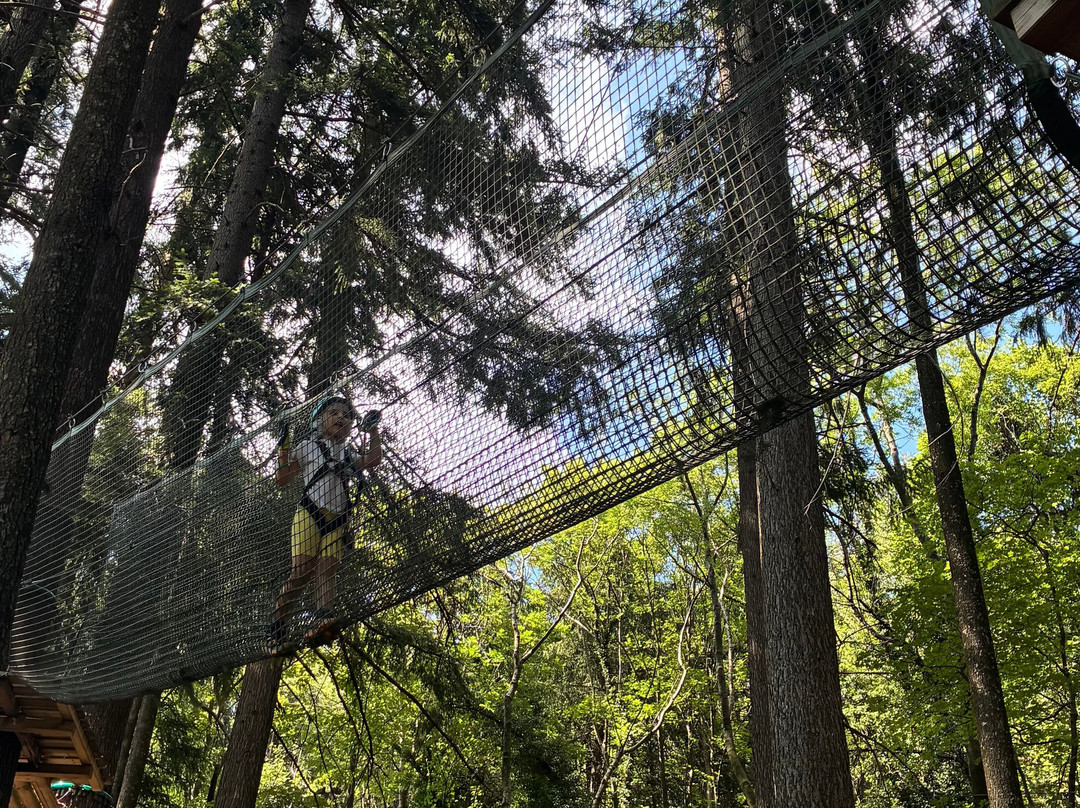 Jungle Raider Park-Albavilla必去景点