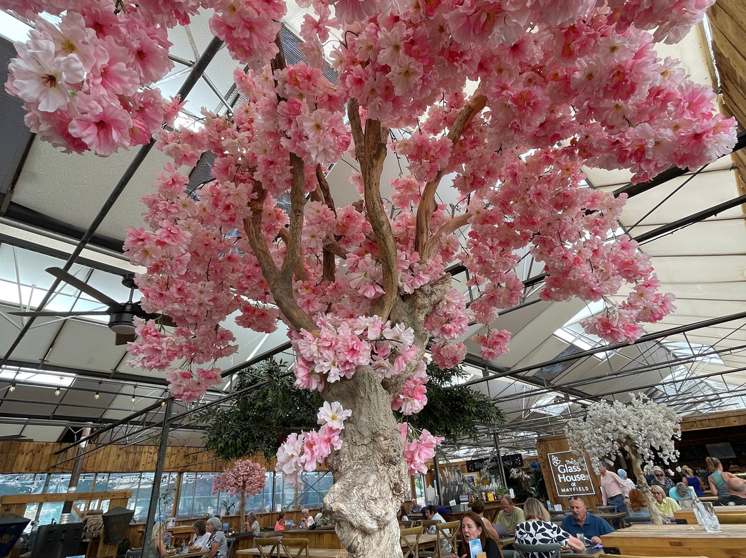 Mayfield Lavender Cafe and Gift Shop-Epsom必去景点