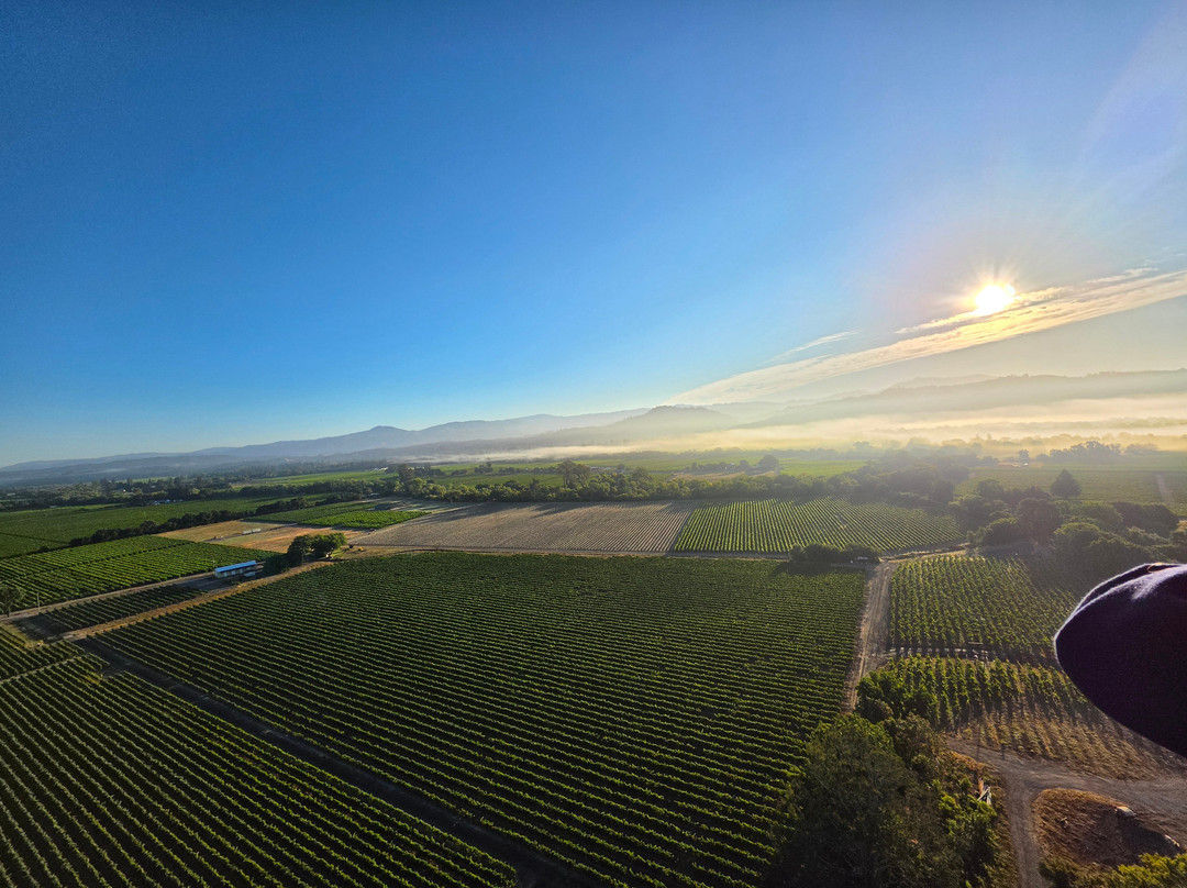 Wine Country Balloons-索诺玛必去景点
