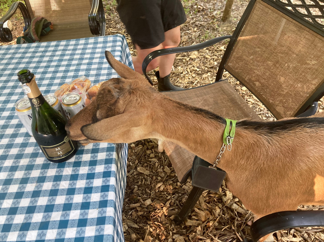 Gorgeous Goat Creamery-Stockton必去景点