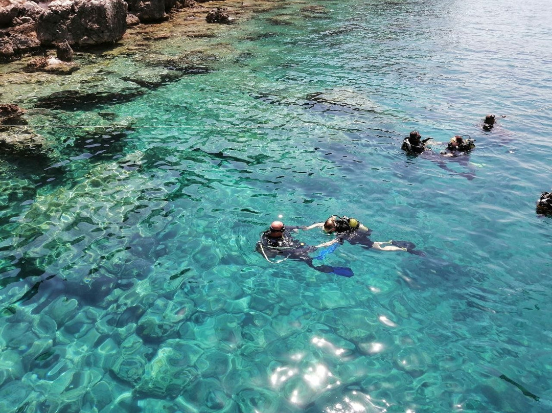 Blue World Diving Center-Tekirova必去景点
