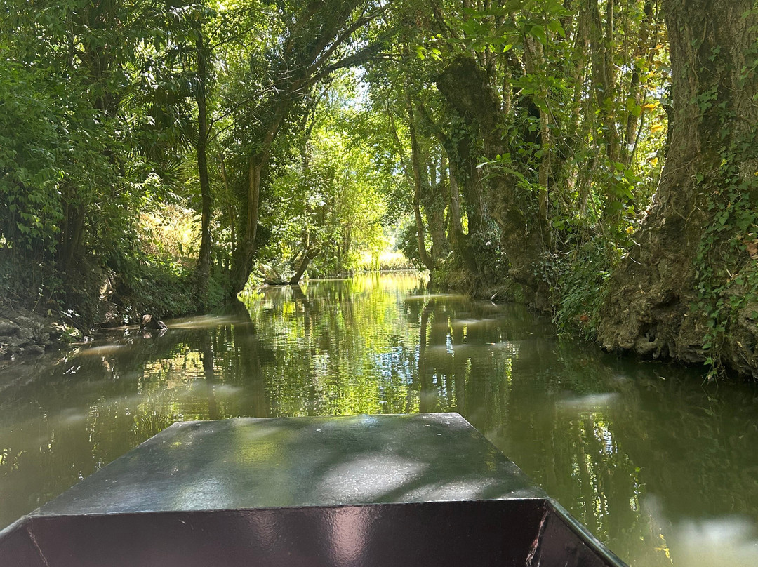 Embarcadere Cardinaud - Marais poitevin-Nouvelle-Aquitaine必去景点