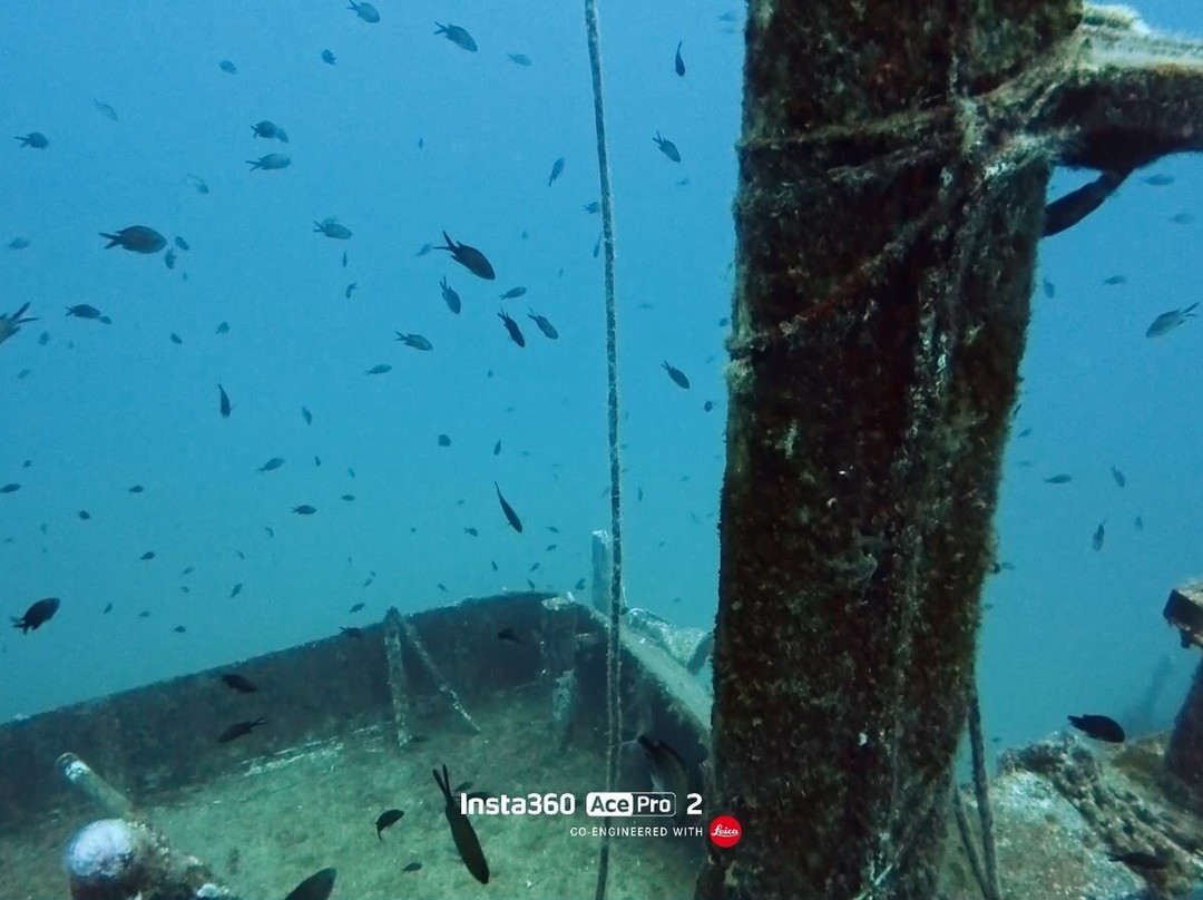 Bubbles Dive Centre-Marsalforn必去景点