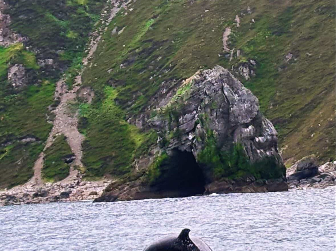 True North Boating-Culdaff必去景点
