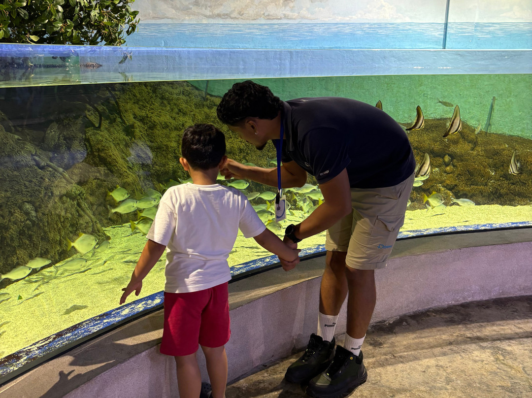 Odysseo Oceanarium Mauritius-路易士港必去景点