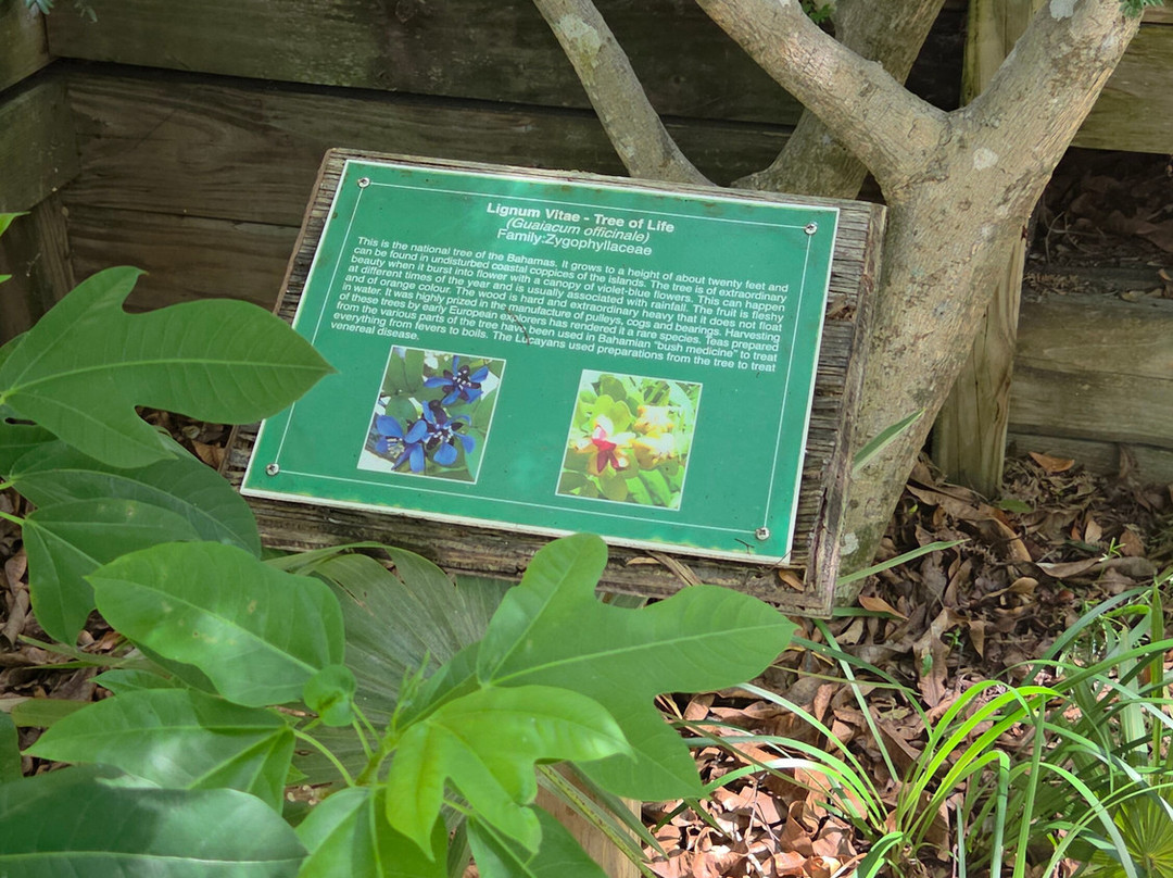 Garden of the Groves-弗里波特必去景点