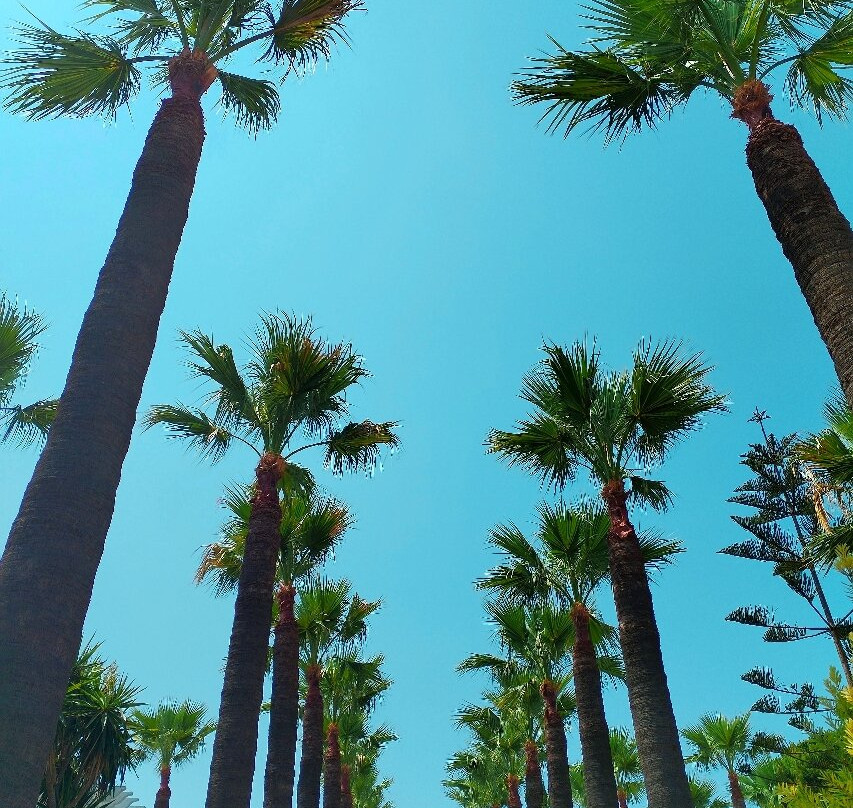 Hammamet Beach主图