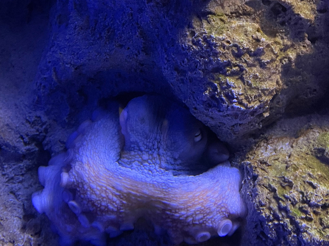 Acquario Cala Gonone-Dorgali必去景点