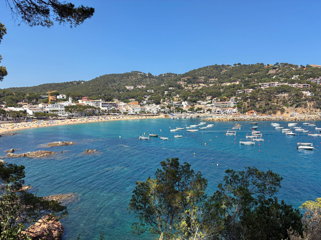 Playa De Llafranc-Llafranc必去景点