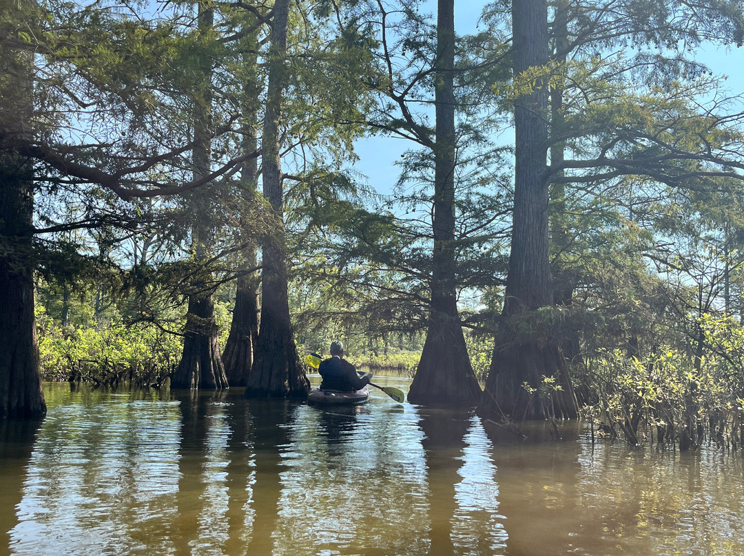 Cache Bayou Outfitters-Ullin必去景点