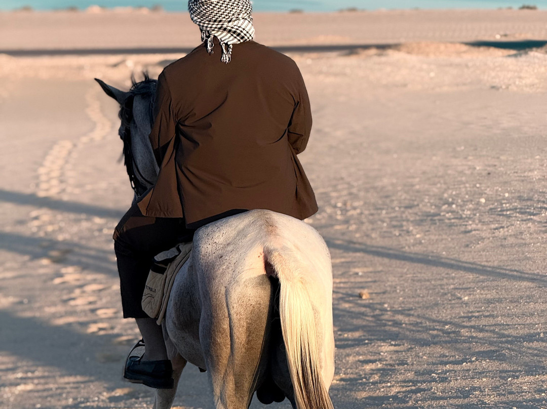 Horse Trips Egypt-Tunis必去景点