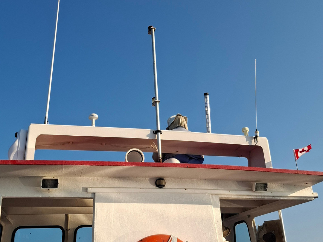 Oshan Whale Watch-Bay St. Lawrence必去景点