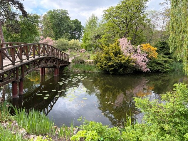 Botanical Garden of the University of Wrocław-弗罗茨瓦夫必去景点