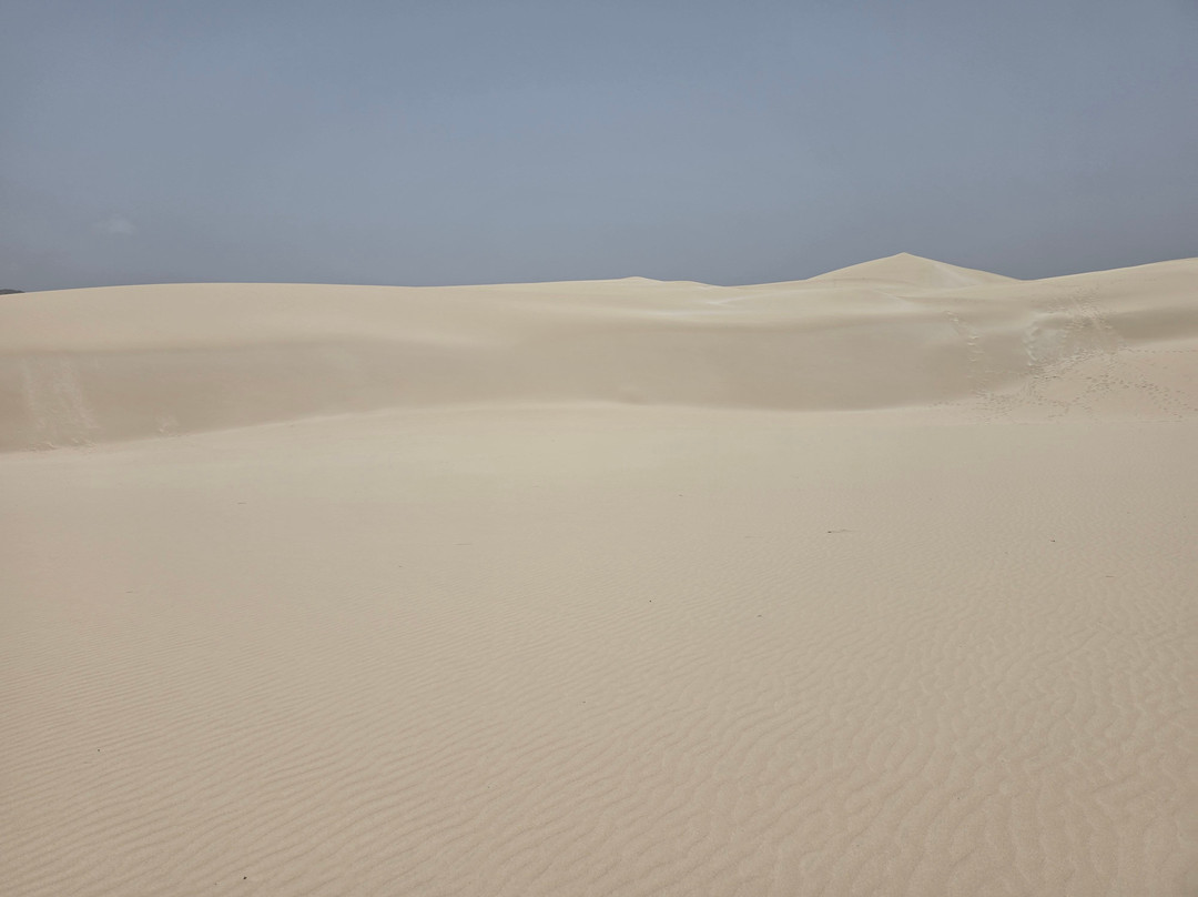 Pier Boa Vista Tours-博阿维斯塔必去景点