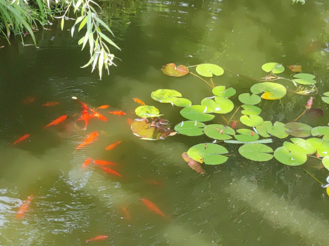 Batumi Botanical Gardens-巴统必去景点