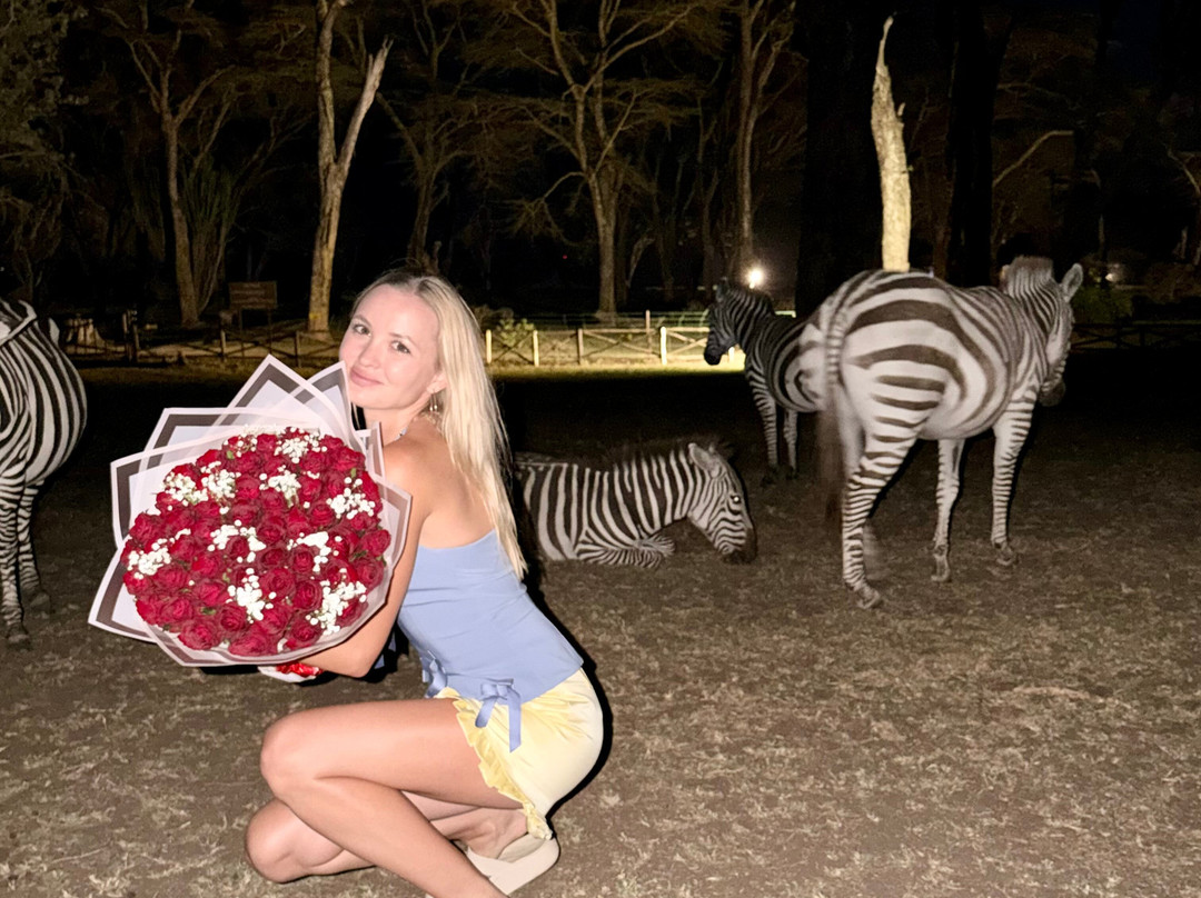 Wild Africa - Tours-班布里必去景点