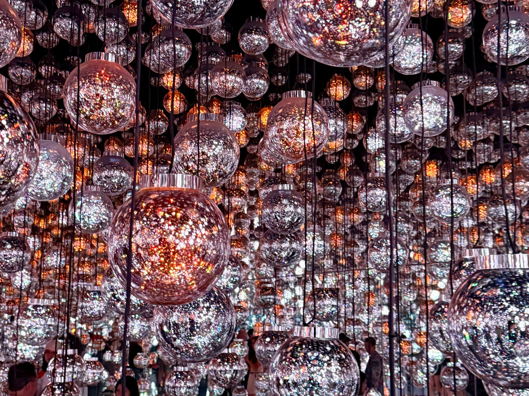 Teamlab Borderless Tokyo-港区必去景点