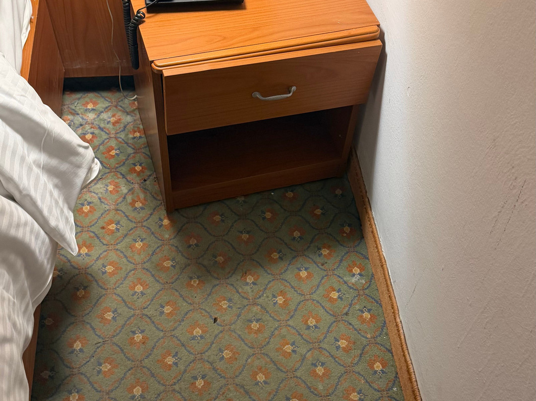 迦玛特厄尔毛拉迪酒店主图