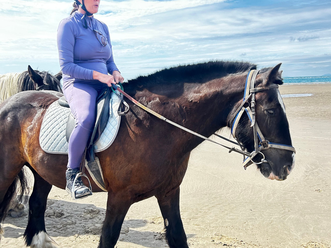 Pony Trekking at Bwlchgwyn Farm-Arthog必去景点