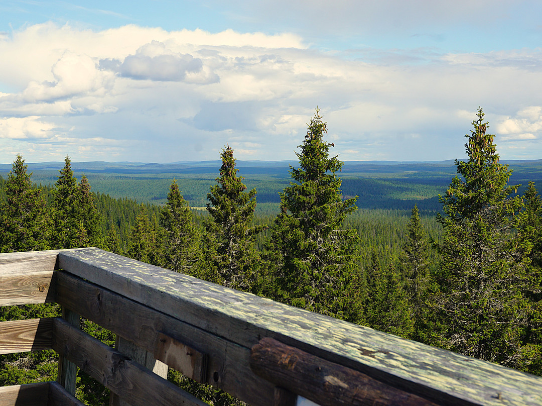 Syote National Park-Pudasjarvi必去景点