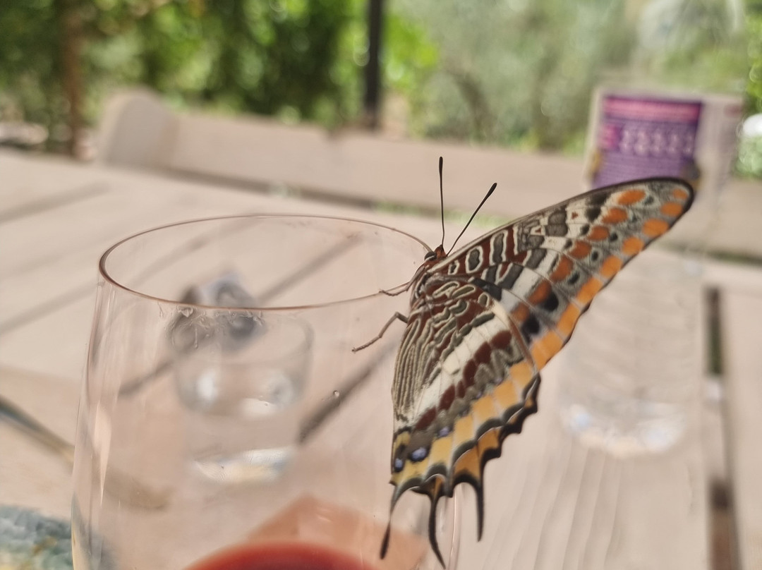 Goumas Estate - Art & Wine Winery-Maries必去景点