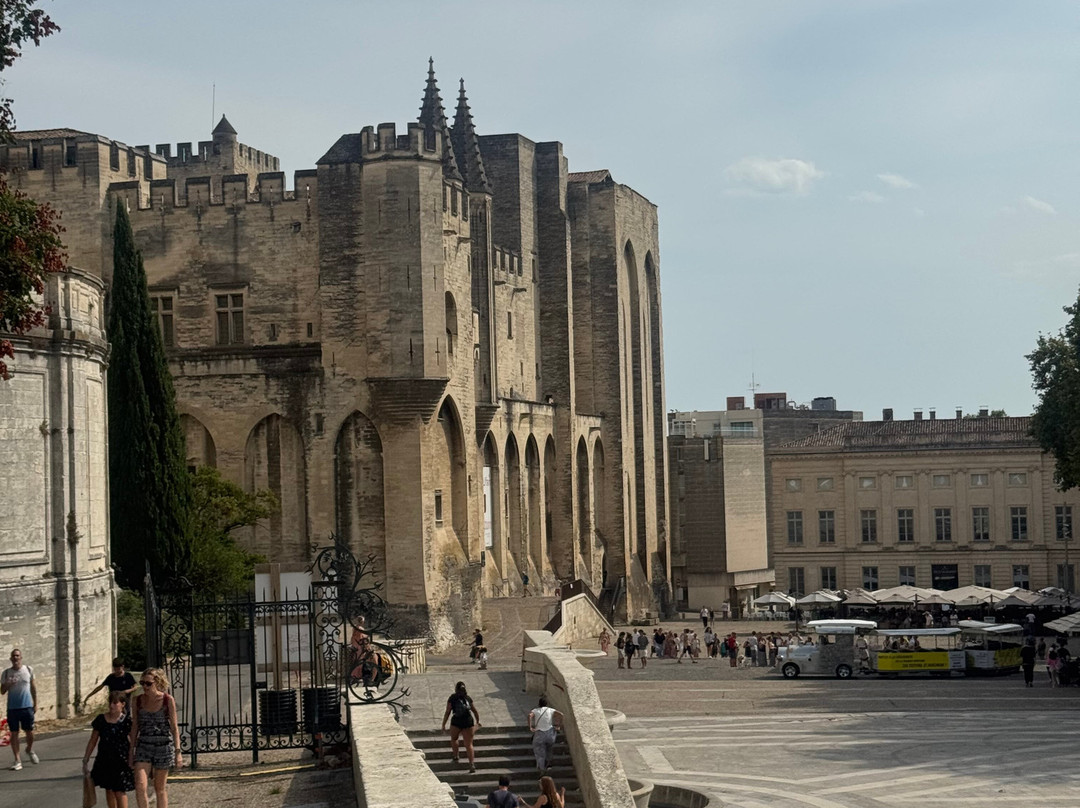 Palace Avignon-阿维尼翁必去景点