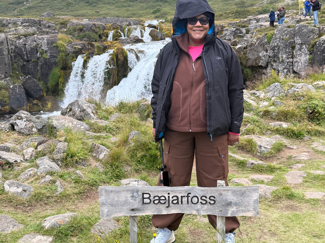 Dynjandi (Fjallfoss)-Hrafnseyri必去景点