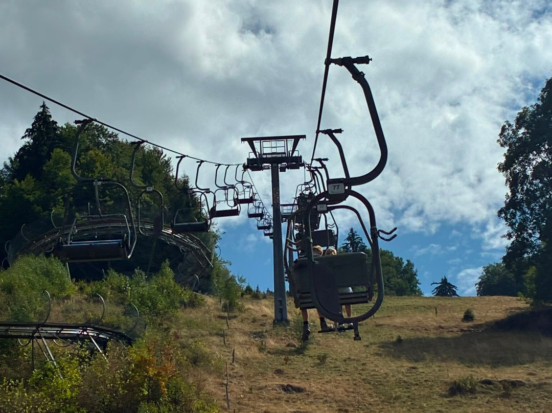 Hasenhorn Coaster Todtnau-托特瑙必去景点