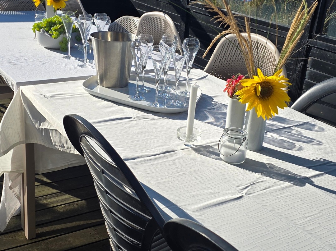 Skallerup Seaside Resort主图