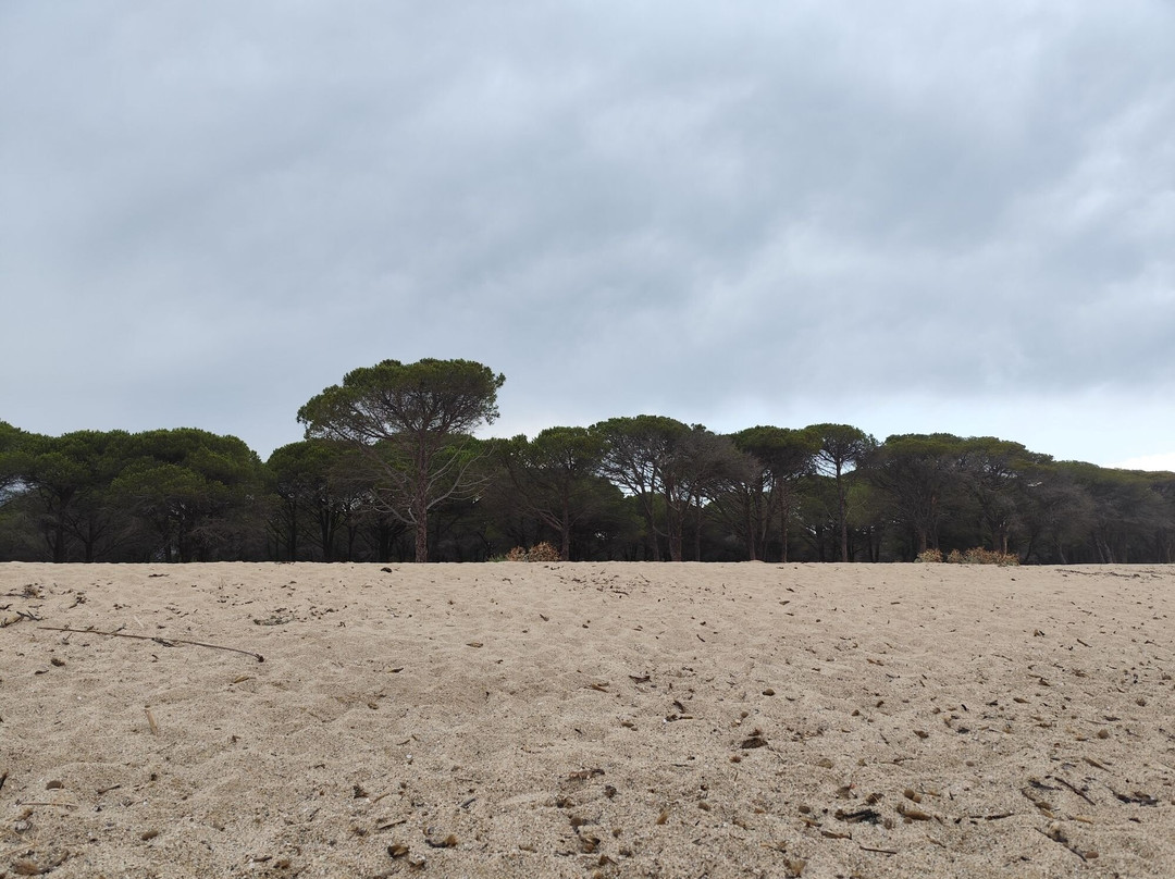 Spiaggia di Su Barone-奥罗塞必去景点