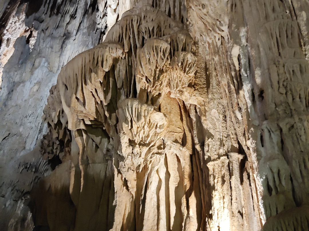 La Grotte Des Demoiselles-Saint-Bauzille-de-Putois必去景点
