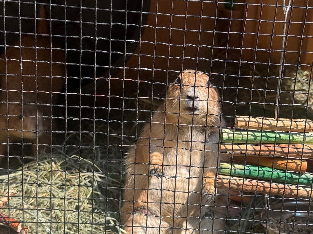 Jungle Experience Zoo-Granville必去景点
