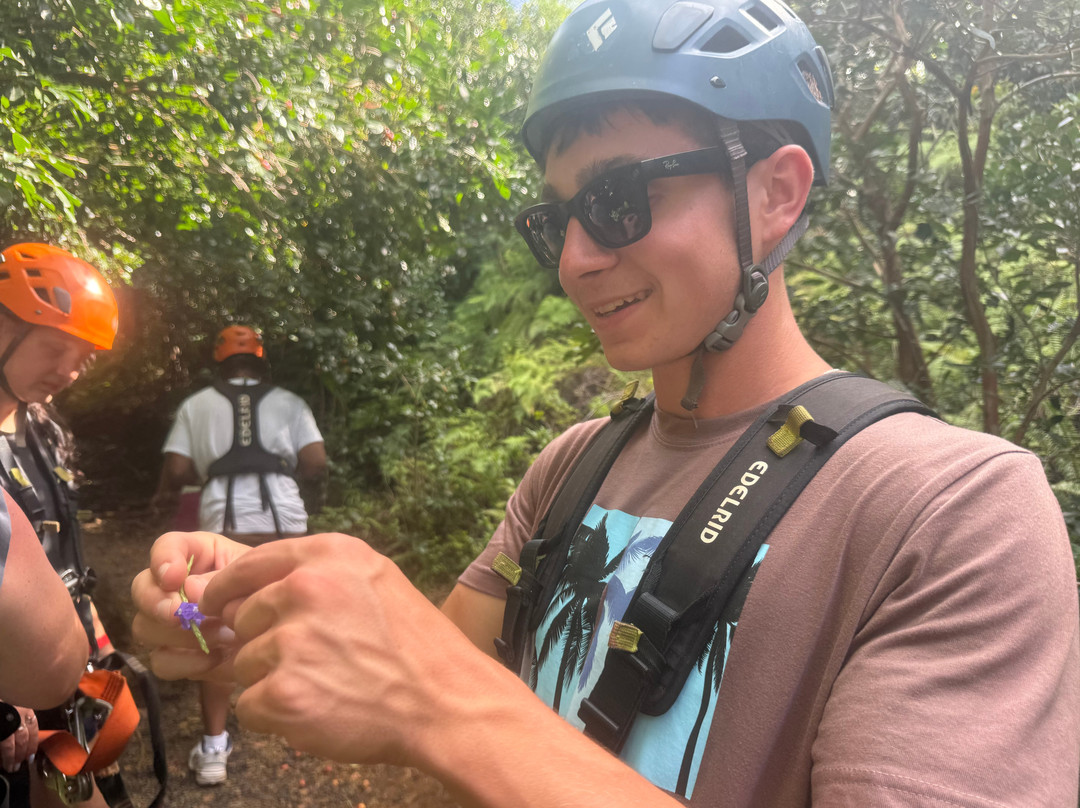 Jungle Zipline Maui-海库必去景点