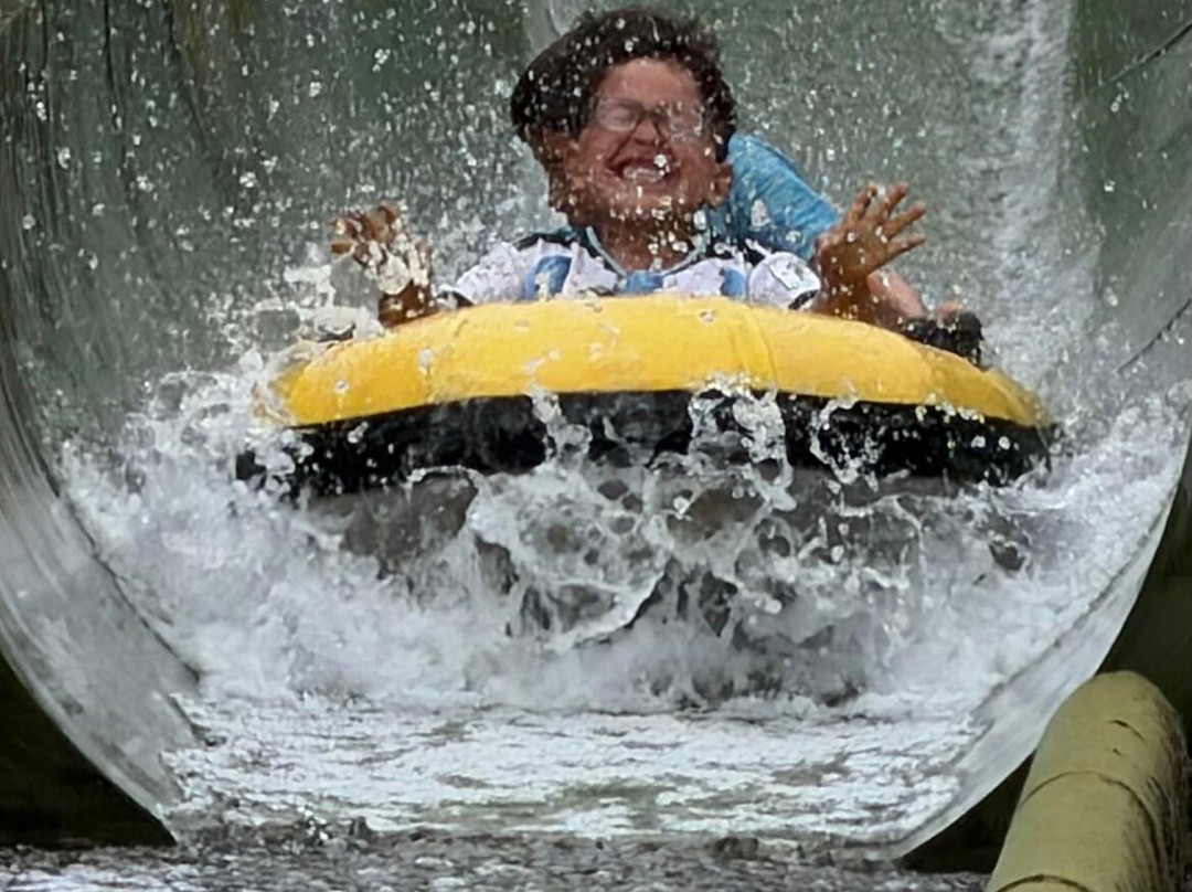 Lightwater Valley Family Adventure Park-North Stainley必去景点