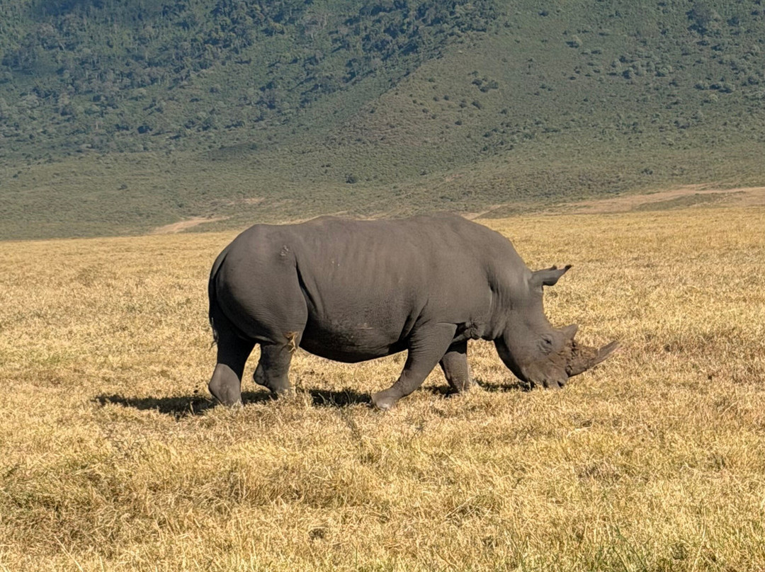 Sereland Africa Safaris-Sakina必去景点