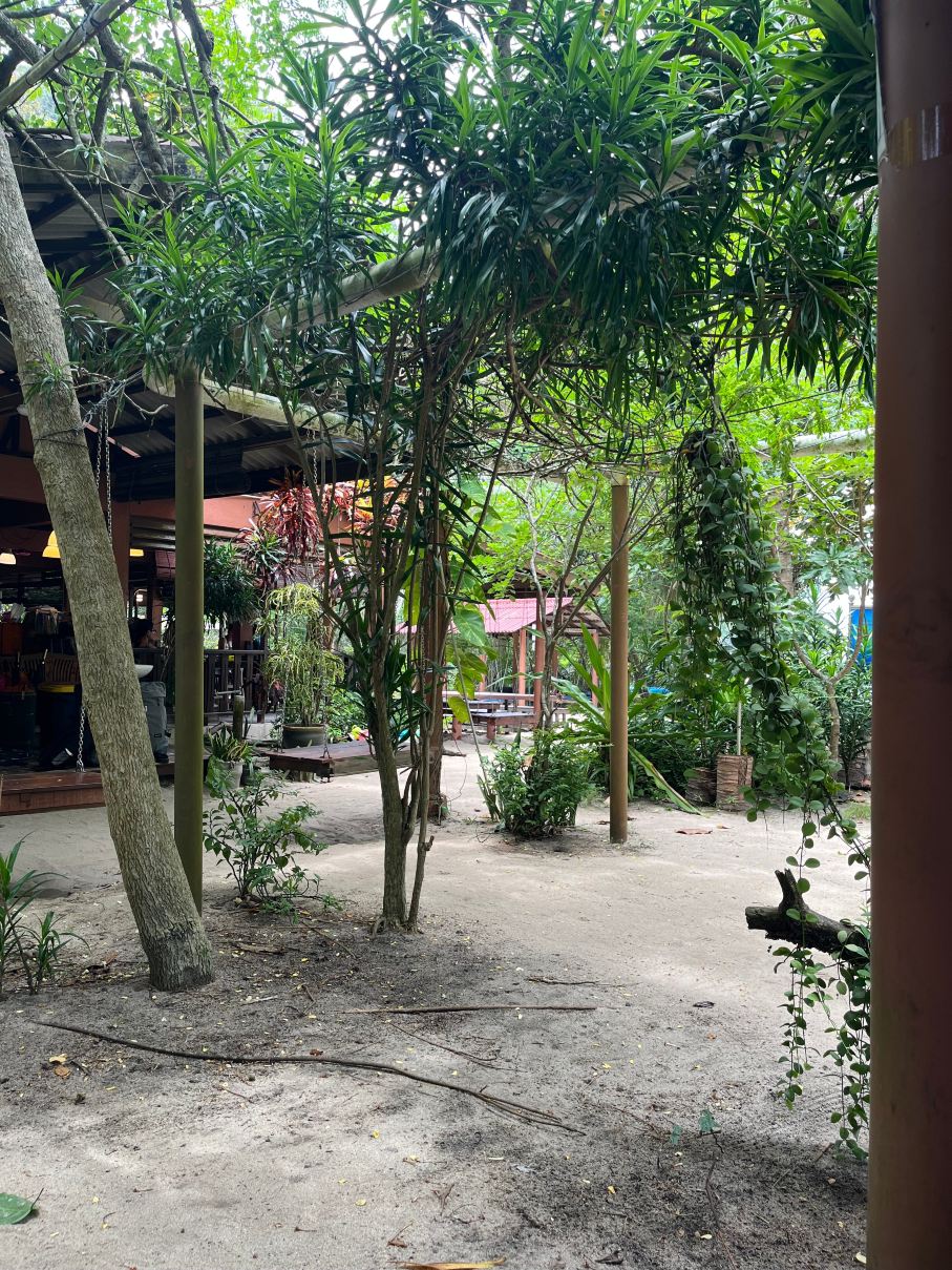 泡泡潜水度假旅馆-旅行者