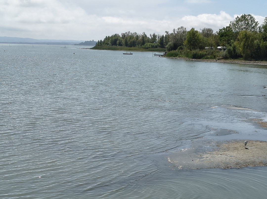 Spiaggia Tuoro Sul Trasimeno-Tuoro sul Trasimeno必去景点