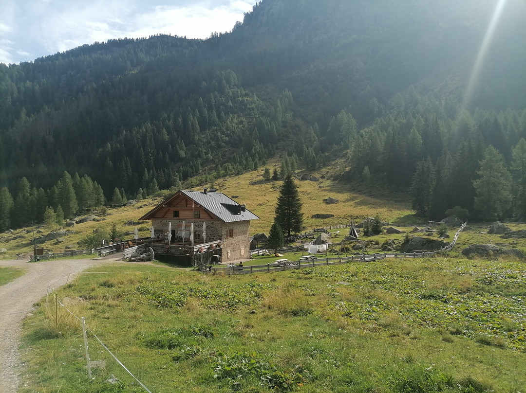 Collezione Di Cimeli Del Rifugio Cauriol-特伦托必去景点