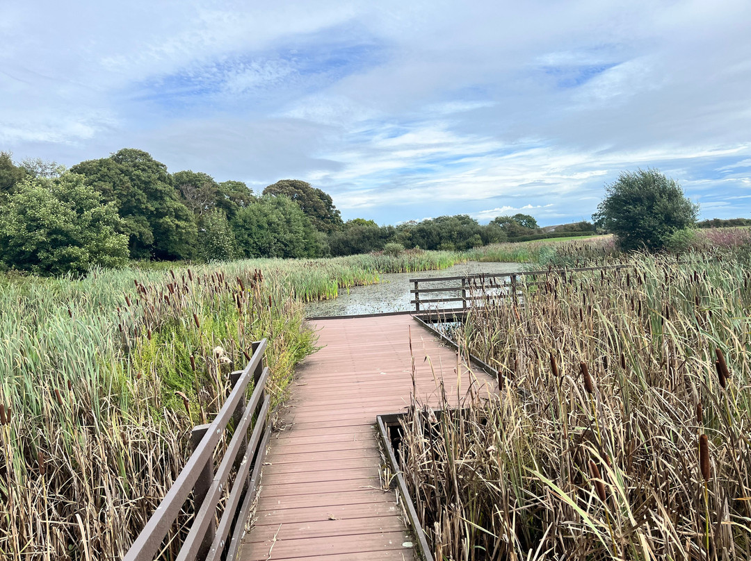 RSPB Saltholme-米德尔斯堡必去景点