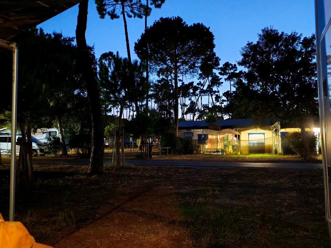 Campeggio Baia Verde-Punta Ala必去景点