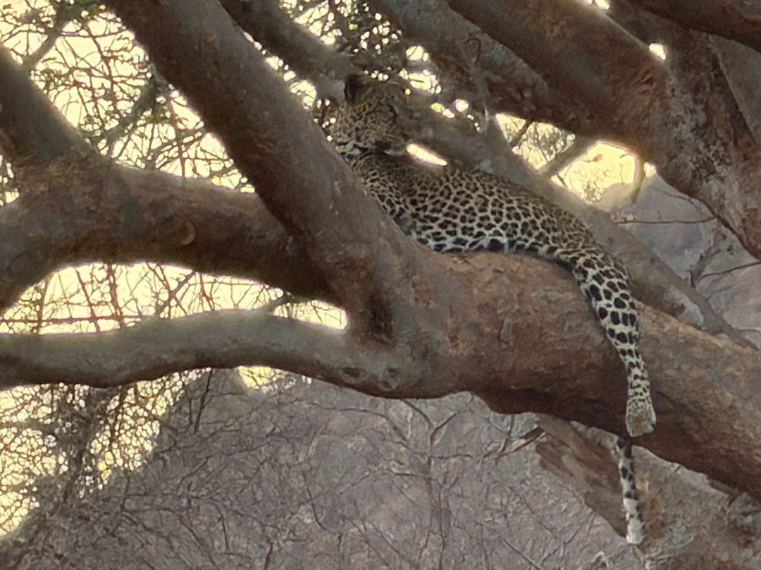 Safari In Kenya Con Samba-瓦塔木必去景点