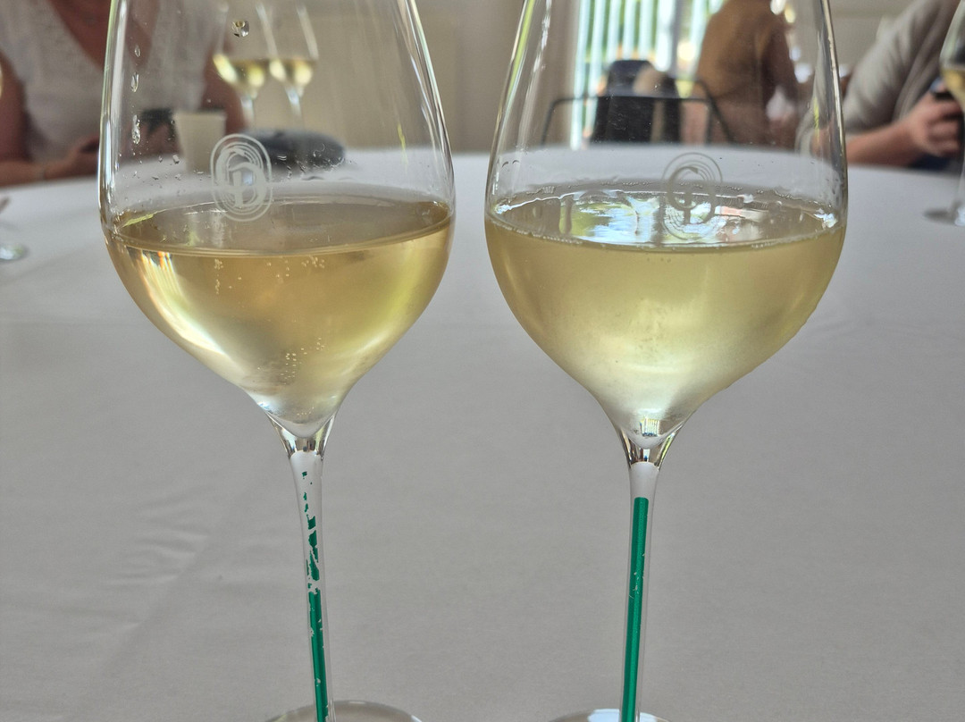 Champagne Canard-Duchene-Ludes必去景点