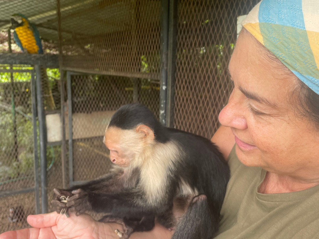 Jungla de Panama Wildlife Refuge-波魁特必去景点