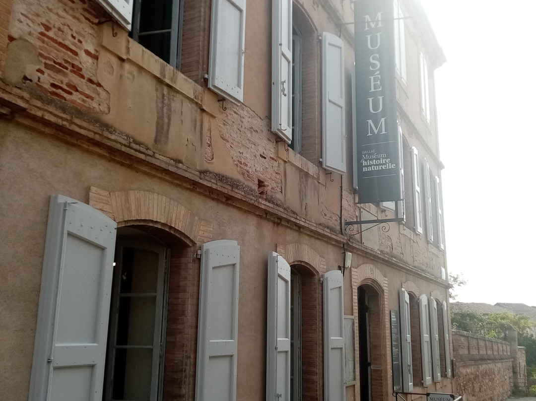 Musee d'Histoire Naturelle Philadelphe Thomas-Gaillac必去景点