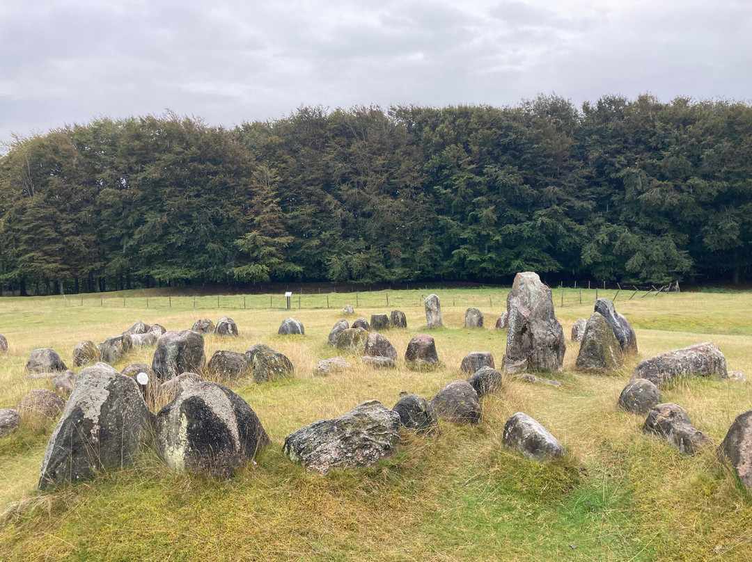 Vikingemuseet Lindholm Høje-Noerresundby必去景点