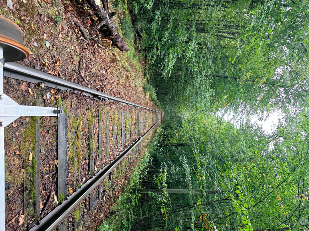 Revolution Rail-North Creek必去景点