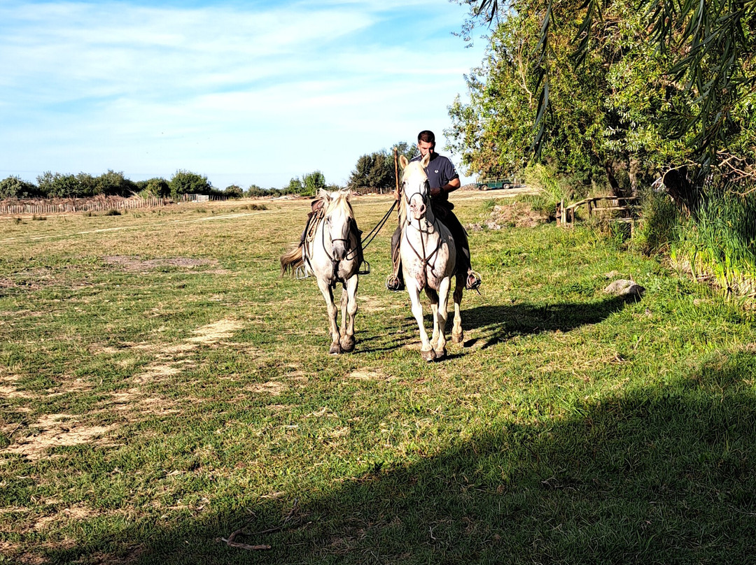 La Camargue d’antan-Beauvoisin必去景点