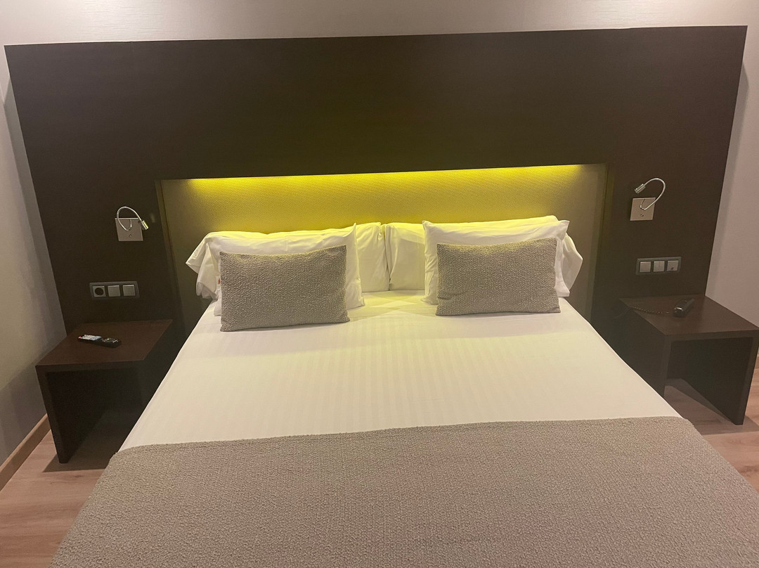 都灵酒店主图